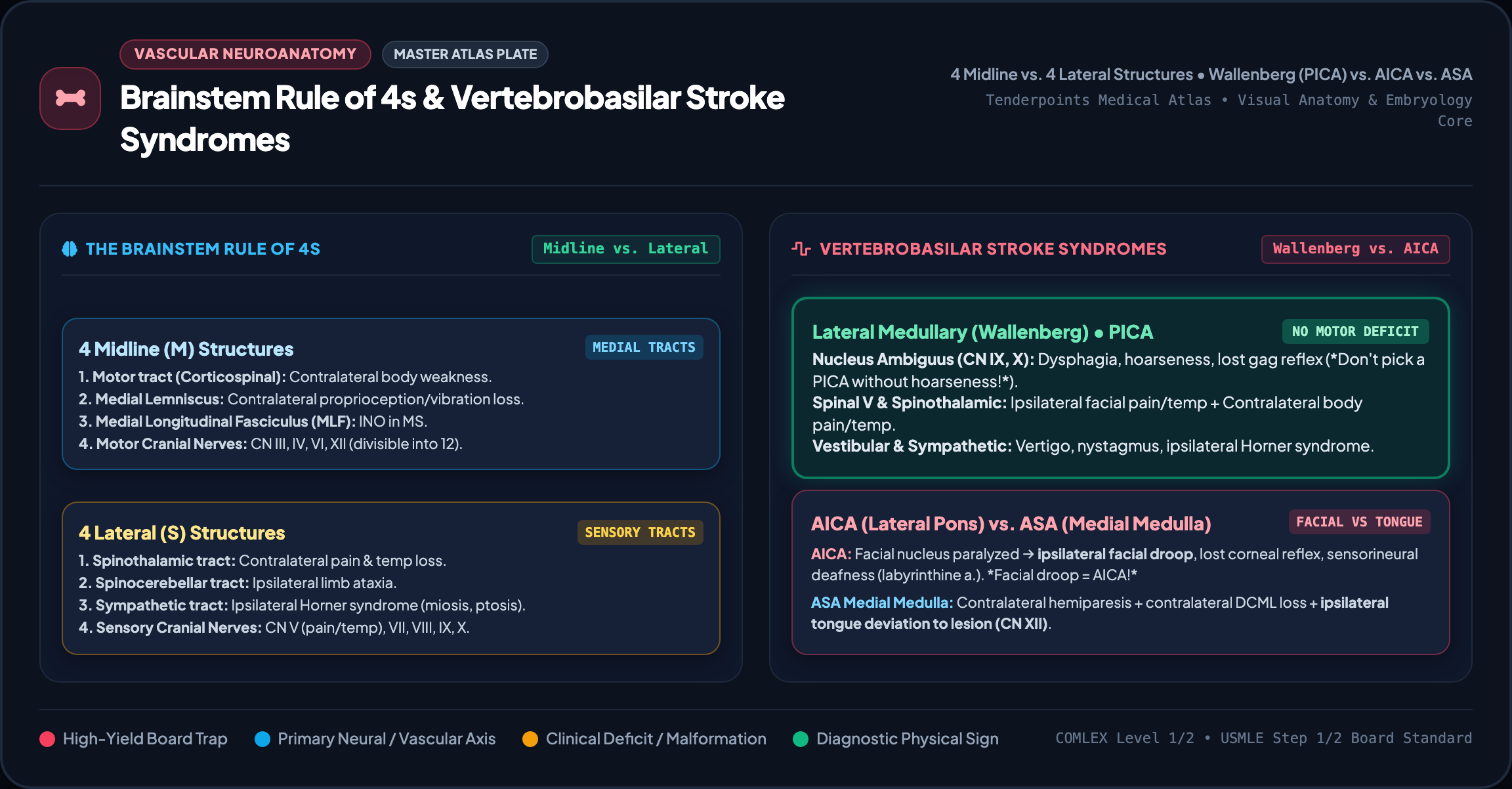 2K Master Plate of Brainstem Anatomy and Stroke Syndromes