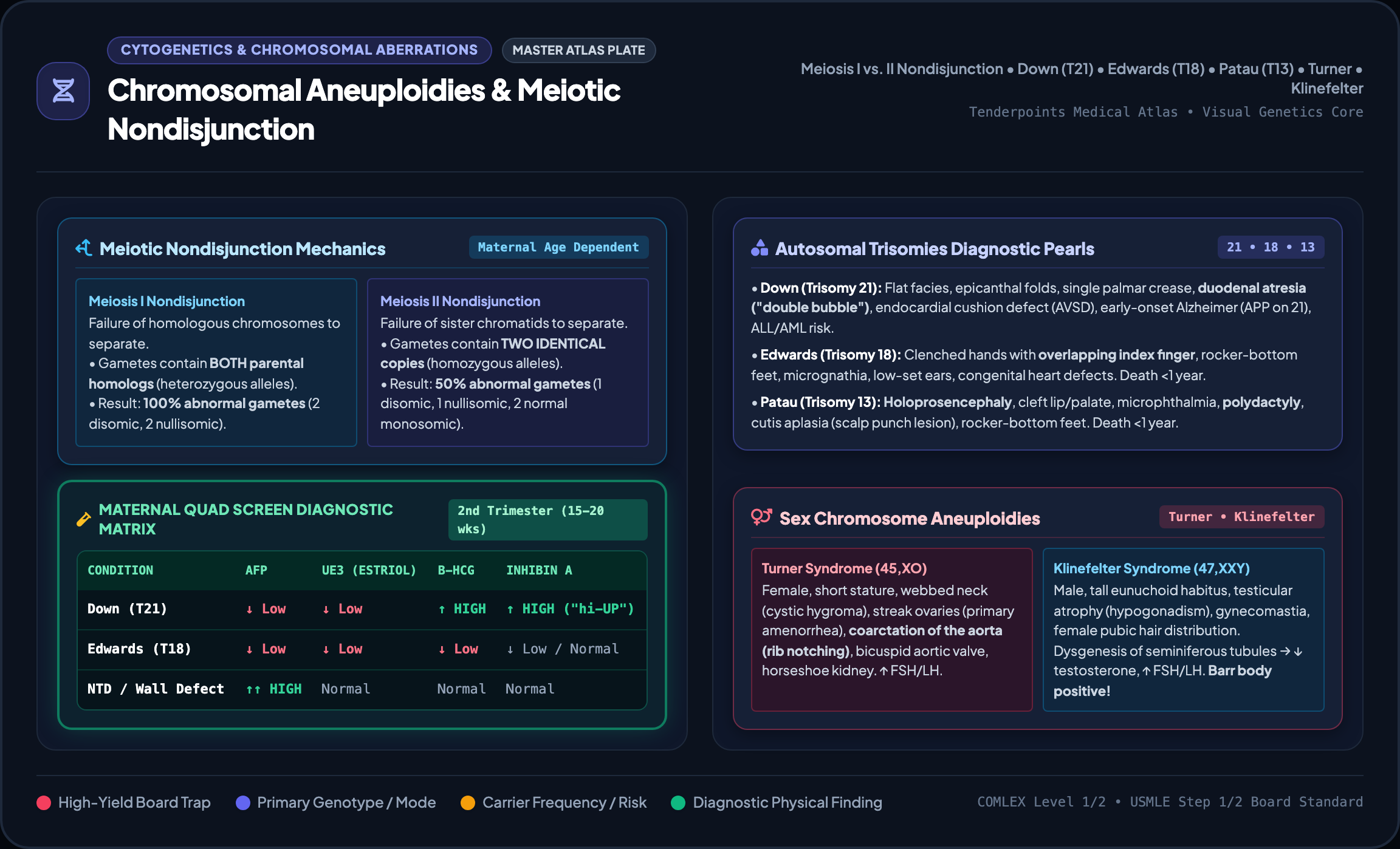 Chromosomal Aneuploidies Master Plate