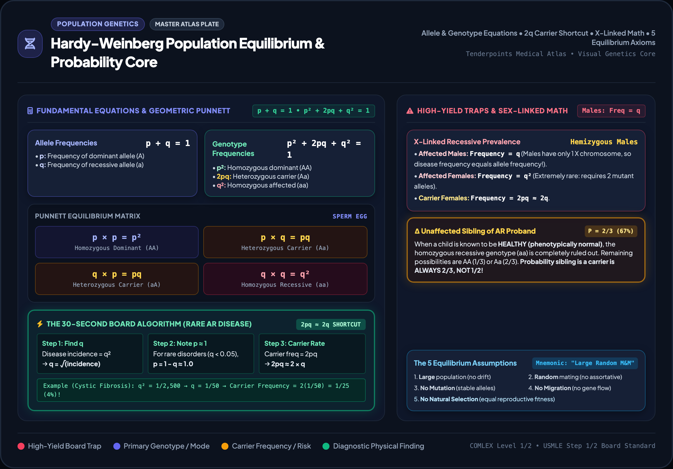Hardy-Weinberg Population Equilibrium Master Plate