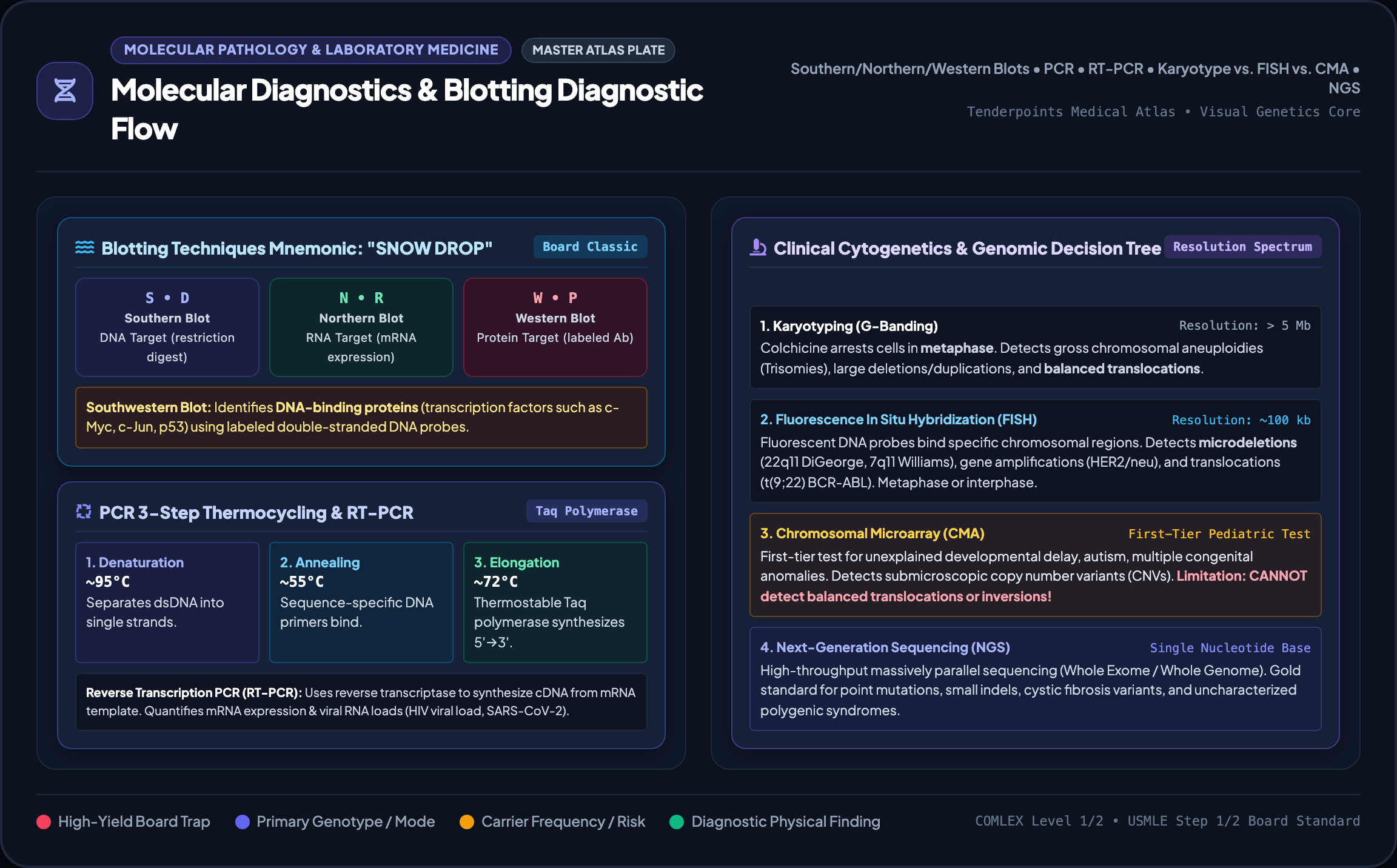 Molecular Diagnostics Master Plate